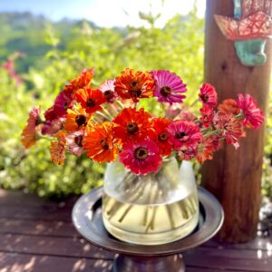 Slimming Retreat